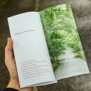 Flyers/Brochures