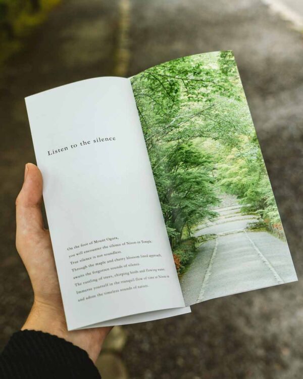 Flyers/Brochures